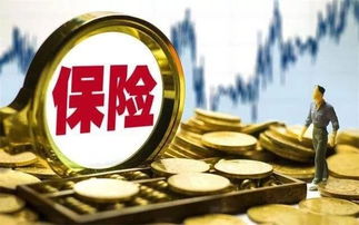 阜陽(yáng)佐豐釣具 注冊(cè)資本3萬(wàn)人民幣，開(kāi)啟票務(wù)代理新篇章